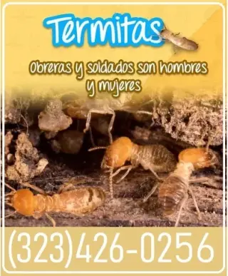 FUMIGACIONES TERMITAS 24/7