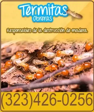 FUMIGACIONES TERMITAS 24/7