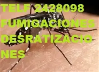 DESRATIZACIONES en Calacali