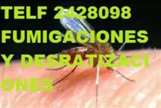 DESRATIZACIONES en Calacali