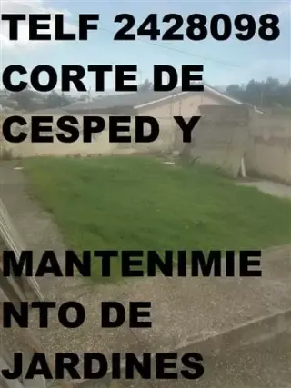LIMPIEZA DE COLEGIOS en Puembo