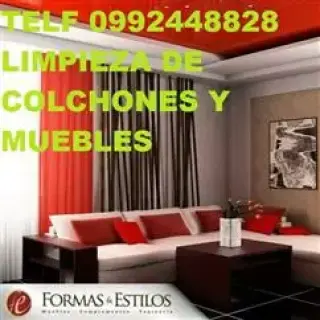 LAVAMOS MUEBLES En Puembo