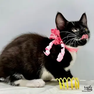 Winnie