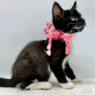 Winnie