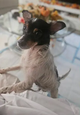 Charlie