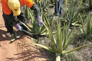 ácido hialurónico para tu piel