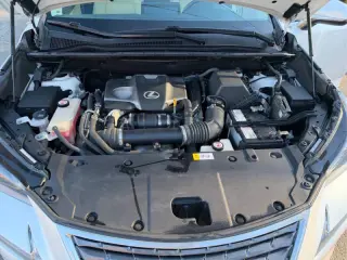 Lexus NX 300 2018
