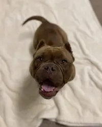 Fiona