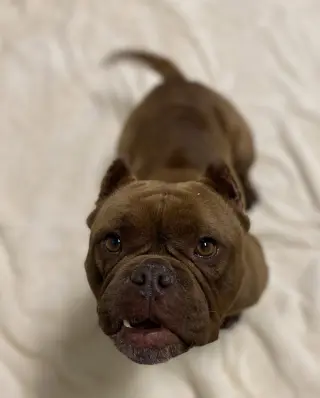 Fiona