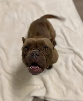 Fiona