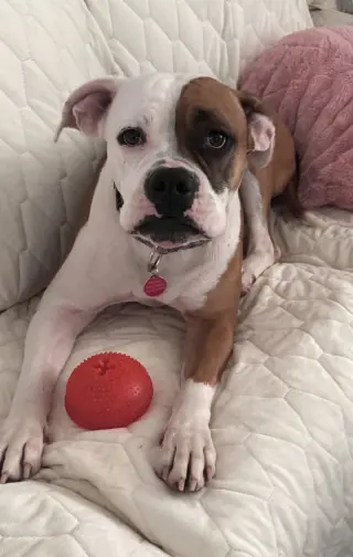 Lucky