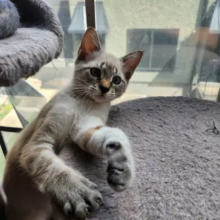 Casper