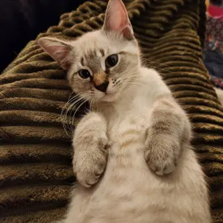 Casper