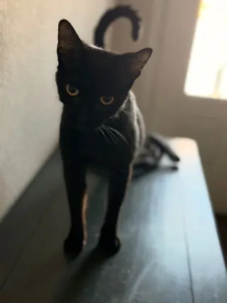 Magic