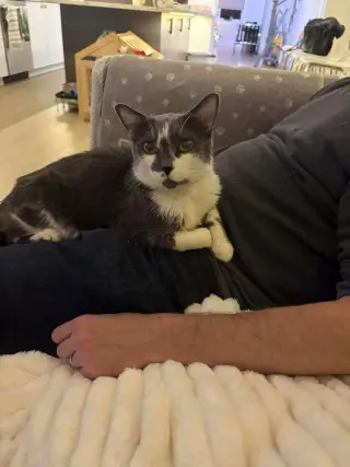Peggy (Mojo)