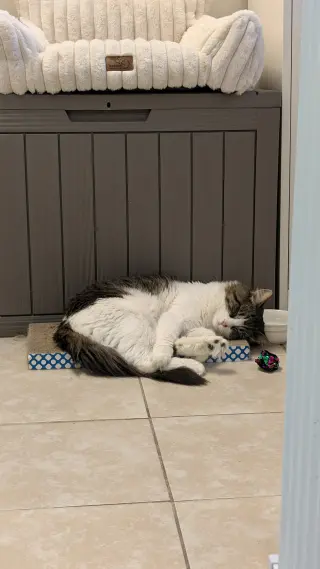 Geralt