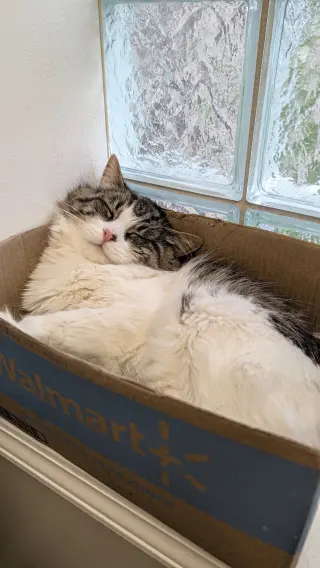 Geralt