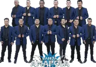 BANDA AMAPOLA 323 303 8484