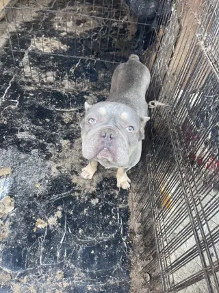 Walter