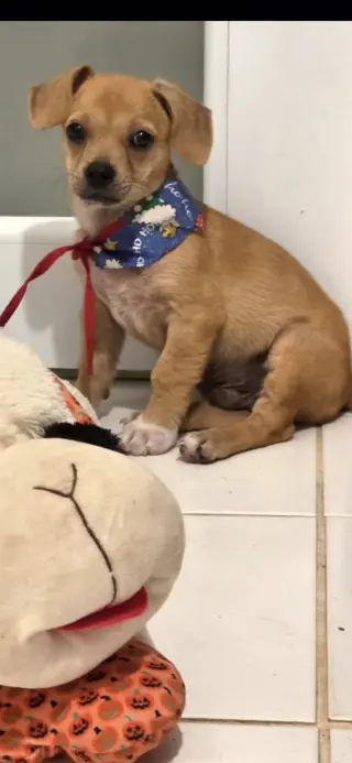Nico&Toby