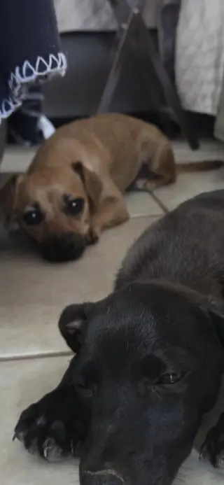 Nico&Toby
