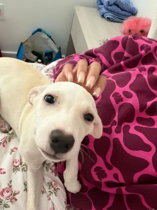 Sam
