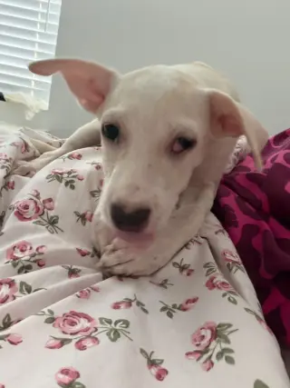 Sam