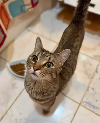 Emmy (AKA Voodoo)
