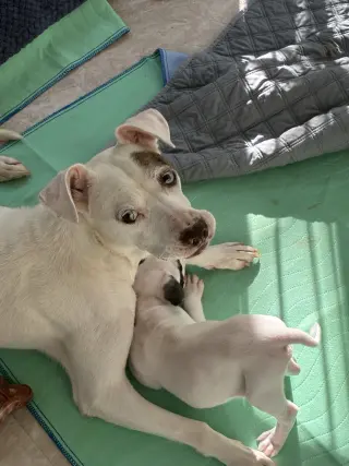 Autumn - Mom to Raine