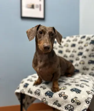 Milo