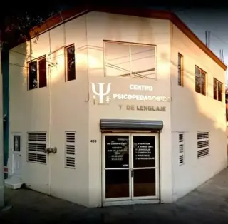 Terapeuta infantil
