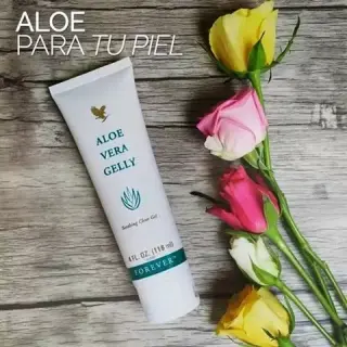 Aloe Vera Gelly (gel de aloe)