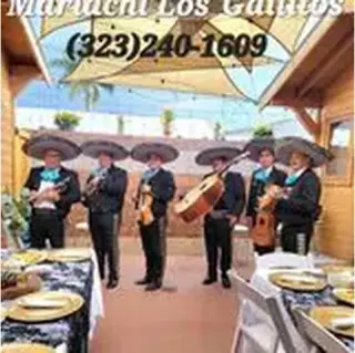 Mariachi Los Gallitos