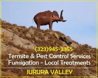 PEST CONTROL SERVICES L.A.-