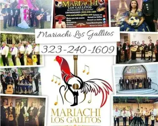 Mariachi Los Gallitos For Hire