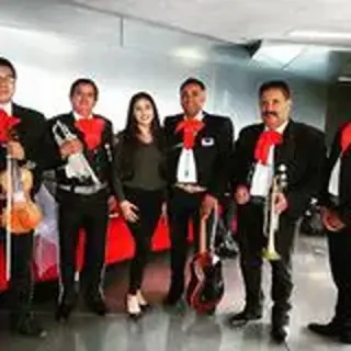 Mariachi Los Gallitos For Hire