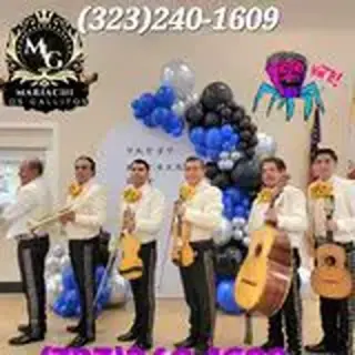 Mariachi Los Gallitos For Hire
