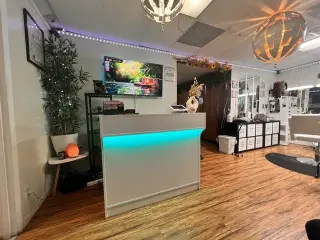 SOLICITO THERAPISTA MUJER SPA