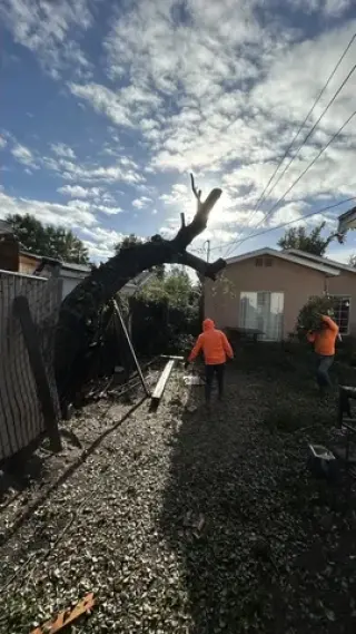 Se buscan Jardineros