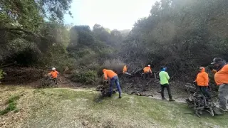 Se buscan Jardineros