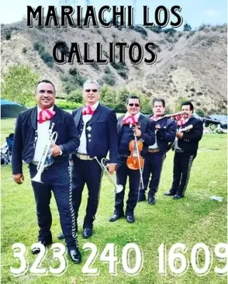 Mariachi Los Gallitos For Hire
