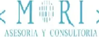 Asesoría- Desarrollo de Tesis