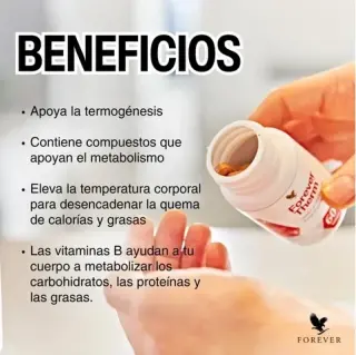 Dieta con aloe y suplementos