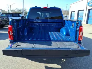 Ford F-150 2023 4x4 Platinum 4dr SuperCrew 6.5 ft. SB