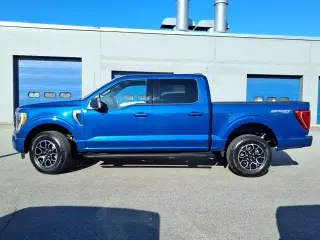 Ford F-150 2023 4x4 Platinum 4dr SuperCrew 6.5 ft. SB