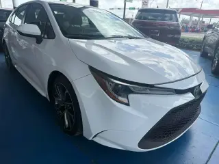 Corolla LE
