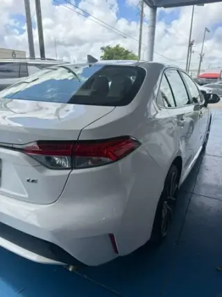 Corolla LE