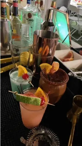 BARTENDER Y MESEROS