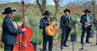 Norteño con Tololoche area 714