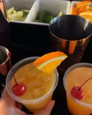 MOBILE BAR